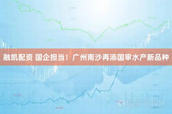 融凯配资 国企担当!广州南沙再添国审水产新品种