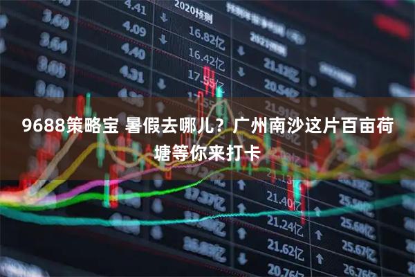 9688策略宝 暑假去哪儿?广州南沙这片百亩荷塘等你来打卡