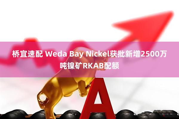 桥宜速配 Weda Bay Nickel获批新增2500万吨镍矿RKAB配额
